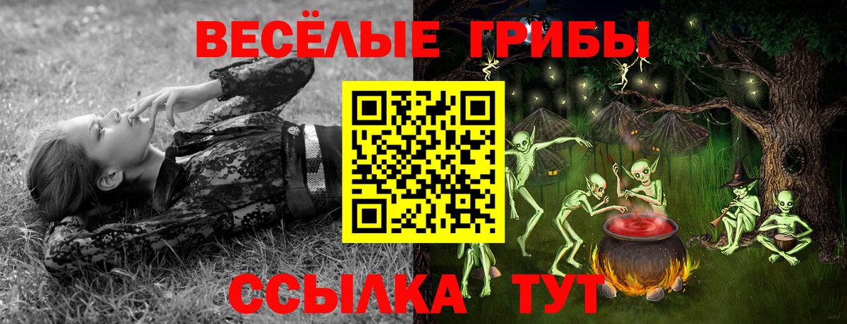 Псилоцибиновые грибы прущие грибы  Галлюциногенные грибы GOLDEN TEACHER  Жигулёвск  Вход с VPN 