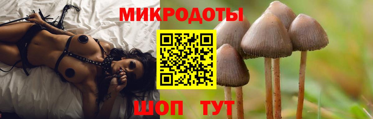 Псилоцибиновые грибы Psilocybe Жигулёвск